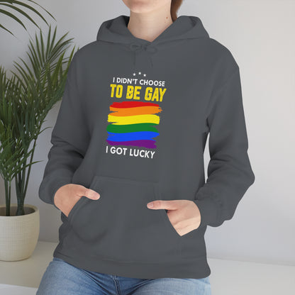 I Didn't Choose To Be Gay I Got Lucky Unisex Heavy Blend™ Hooded Sweatshirt