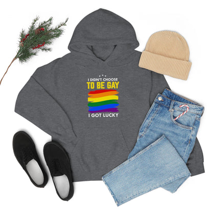 I Didn't Choose To Be Gay I Got Lucky Unisex Heavy Blend™ Hooded Sweatshirt