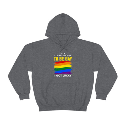 I Didn't Choose To Be Gay I Got Lucky Unisex Heavy Blend™ Hooded Sweatshirt