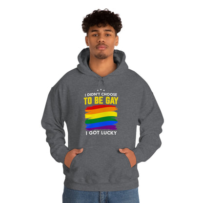 I Didn't Choose To Be Gay I Got Lucky Unisex Heavy Blend™ Hooded Sweatshirt