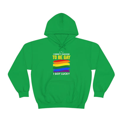 I Didn't Choose To Be Gay I Got Lucky Unisex Heavy Blend™ Hooded Sweatshirt