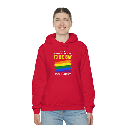 I Didn't Choose To Be Gay I Got Lucky Unisex Heavy Blend™ Hooded Sweatshirt