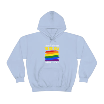 I Didn't Choose To Be Gay I Got Lucky Unisex Heavy Blend™ Hooded Sweatshirt