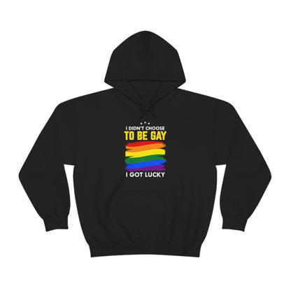 I Didn't Choose To Be Gay I Got Lucky Unisex Heavy Blend™ Hooded Sweatshirt