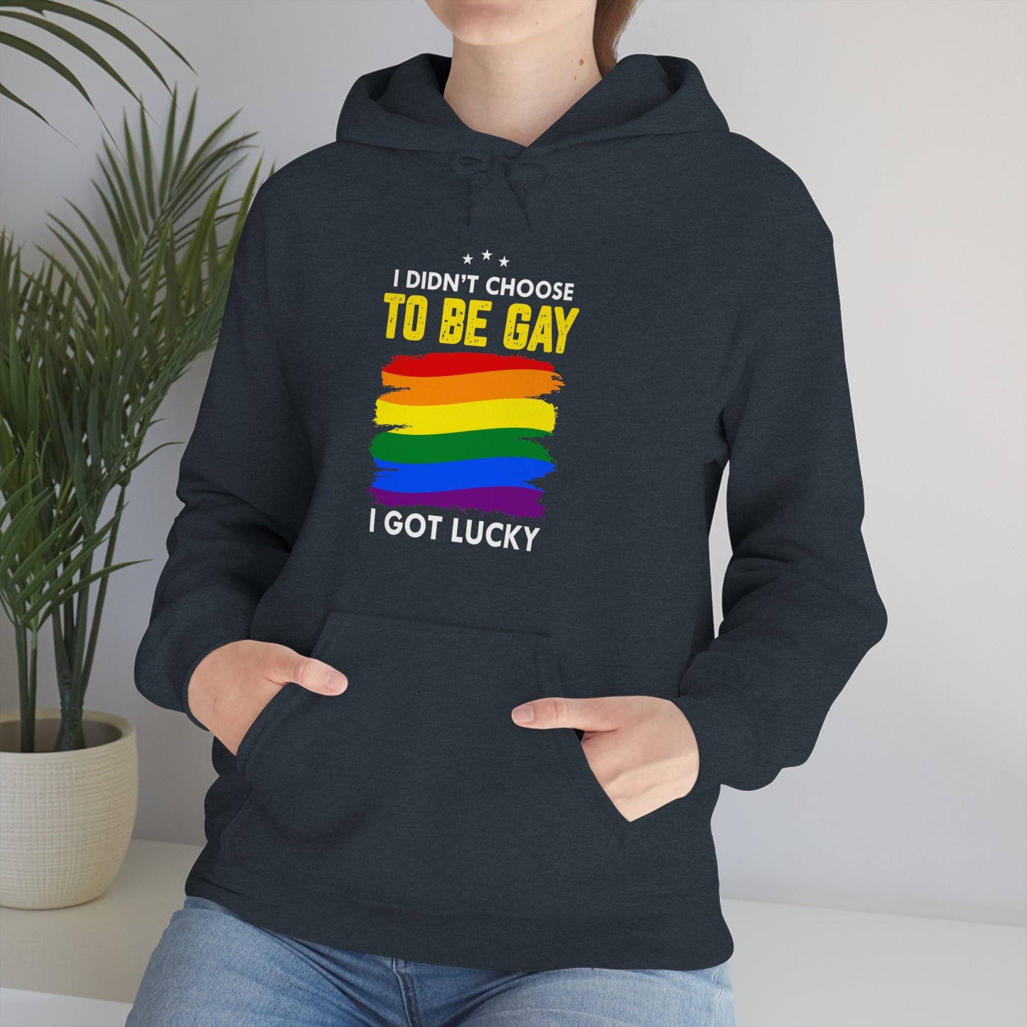 I Didn't Choose To Be Gay I Got Lucky Unisex Heavy Blend™ Hooded Sweatshirt