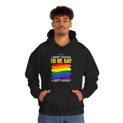 I Didn't Choose To Be Gay I Got Lucky Unisex Heavy Blend™ Hooded Sweatshirt