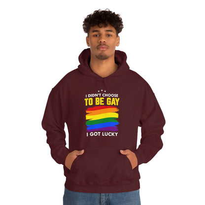 I Didn't Choose To Be Gay I Got Lucky Unisex Heavy Blend™ Hooded Sweatshirt