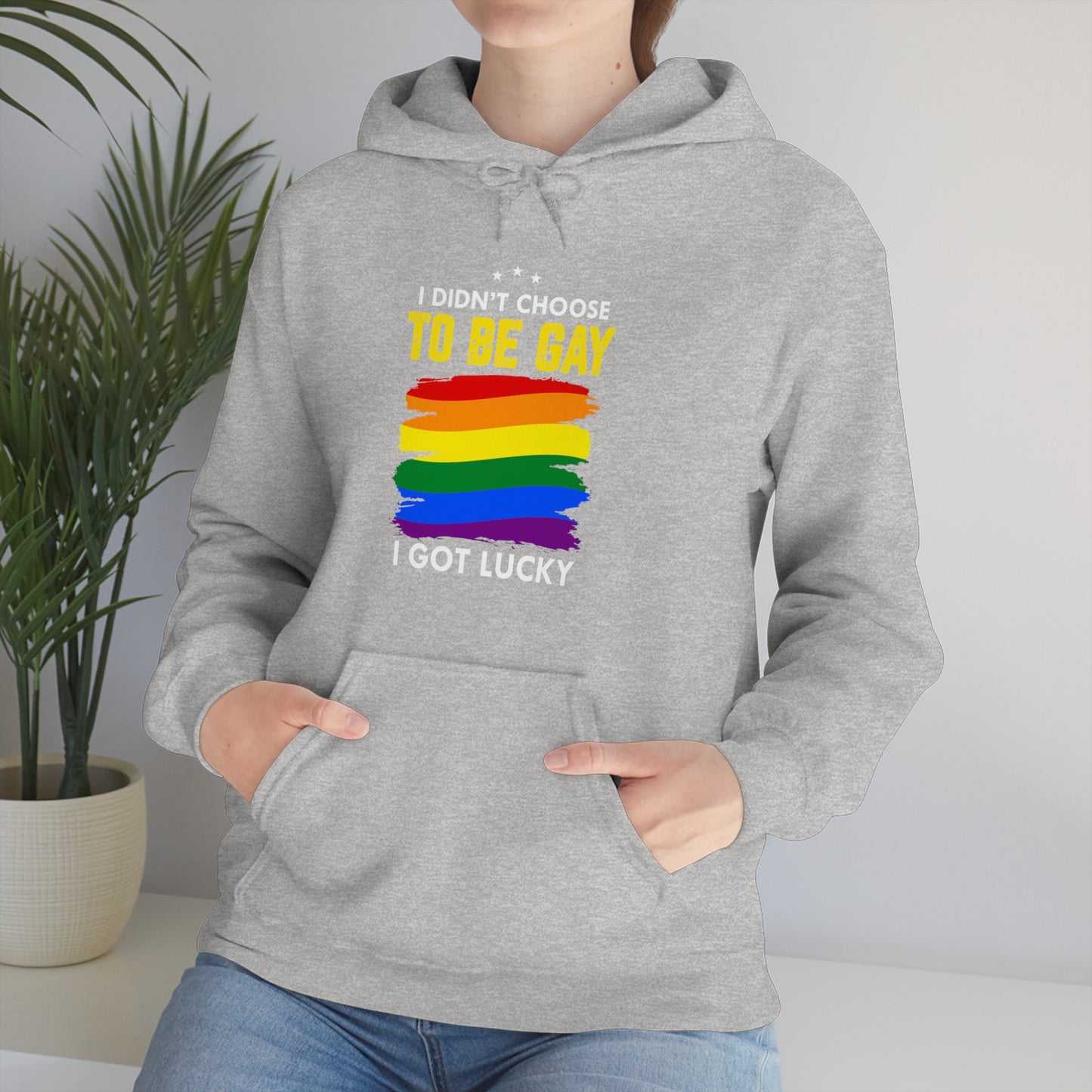 I Didn't Choose To Be Gay I Got Lucky Unisex Heavy Blend™ Hooded Sweatshirt