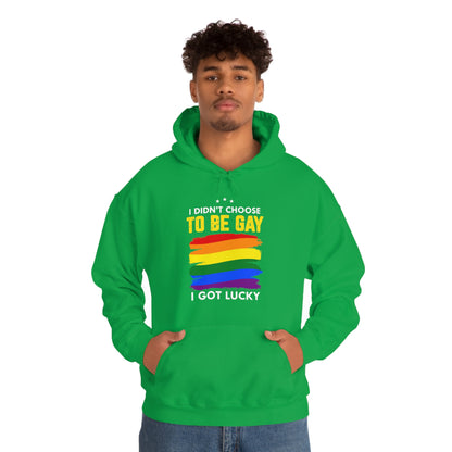 I Didn't Choose To Be Gay I Got Lucky Unisex Heavy Blend™ Hooded Sweatshirt