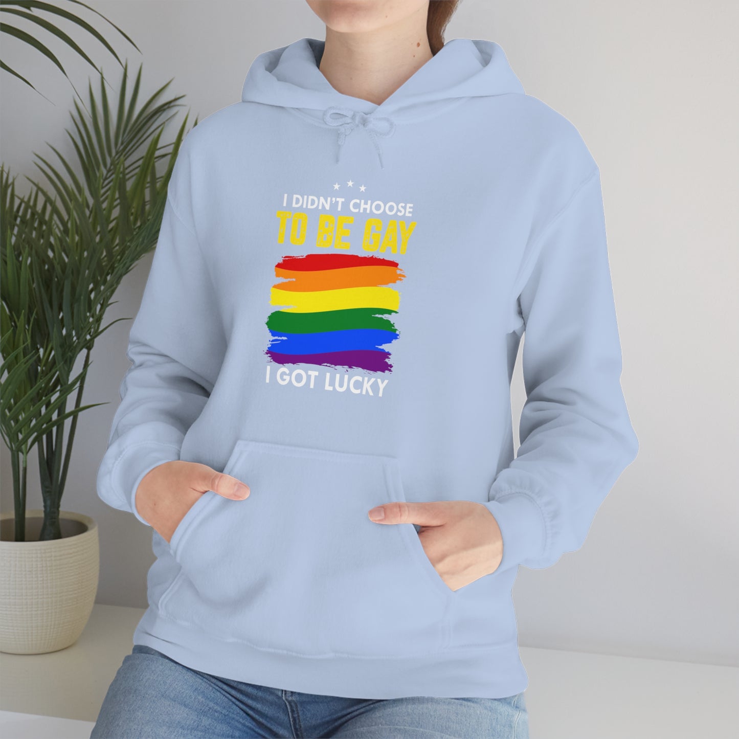 I Didn't Choose To Be Gay I Got Lucky Unisex Heavy Blend™ Hooded Sweatshirt