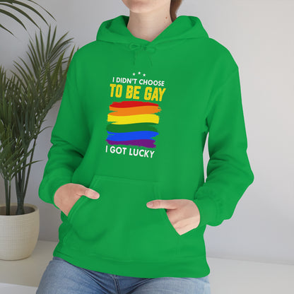 I Didn't Choose To Be Gay I Got Lucky Unisex Heavy Blend™ Hooded Sweatshirt