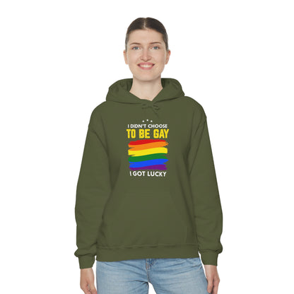 I Didn't Choose To Be Gay I Got Lucky Unisex Heavy Blend™ Hooded Sweatshirt